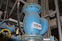 KITZ STAINLESS SWING GATE CHECK VALVE 10