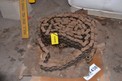 RS32B DOUBLE ROW ROLLER CHAIN