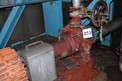 WORTHINGTON 3FRBH-141 STAINLESS CENTRIFUGAL PUMP 3X6