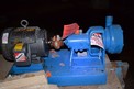 INGERSOL RAND 3/4CNG-42 STAINLESS CENTRIFUGAL PUMP W/ BALDOR MOTOR