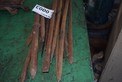 LOT OF ASSORTED LARGE CHISELS AND PUNCHES