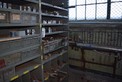 CONTENTS OF SHELVES ONLY ASSORTED SOCKETS STRIKING CRESCENT WRENCHES STAMPS WHEEL WRENCH
