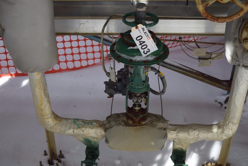 FISHER EZ 1 INCH CL300 STEEL BODY 667 ACTUATOR DV6010 POSITIONER ...