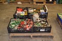 1 PALLET OF OIL SEALS NATIONAL PARKER GARLOCK CR TIMKEN FAFNIR