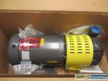 NEW GUSHER 11019AH-A 2 IN 1-1/2 IN 6 IN 230/460V-AC 5HP IRON CENTRIFUGAL PUMP