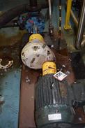 VIKING LL125 GEAR PUMP WITH TOSHIBA 10 HP MOTOR, GEAR REDUCER