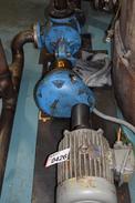 VIKING LL125 GEAR PUMP WITH BALDOR 10 HP MOTOR, GEAR REDUCER