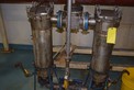 RONNINGEN PETTER WATER FILTER ASSEMBLY