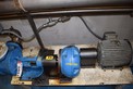 VIKING LL125 GEAR PUMP