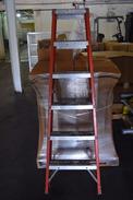 5 STEP LADDER