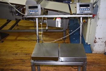 LOT OF 2 GSE 450 PROGRAMMABLE WEIGH INDICATOR WITH SCALE