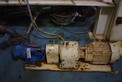 VIKING LL125 GEAR PUMP