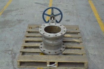 TRUELINE N136 10 IN STAINLESS FLANGED GATE VALVE (BRAMPTON)