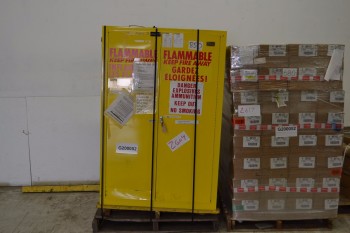 WILLIAMS 2961 FLAMMABLE SAFETY CABINET 40 X 62 X 15 IN
