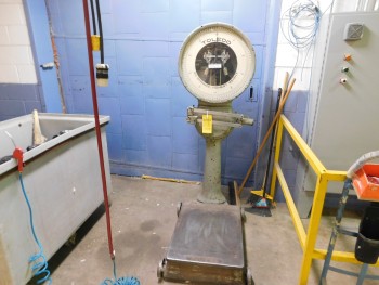 Toledo Platform Scale 500 LB Cap
