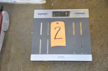 TAYLOR Scale