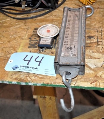 HANSON MODEL 8920, 200-Pound Capacity Scale