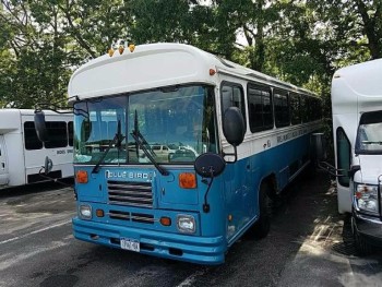 Bus number 163 2004 bluebird