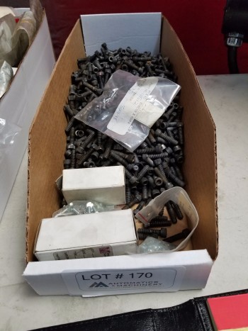 Large box of 1/4-20 allen head screws