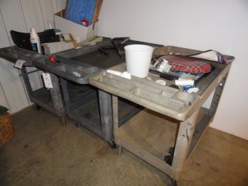 3 Utility Carts