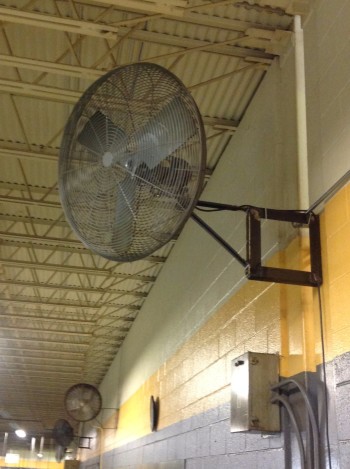 Lot of (8) Wall mounted Fans