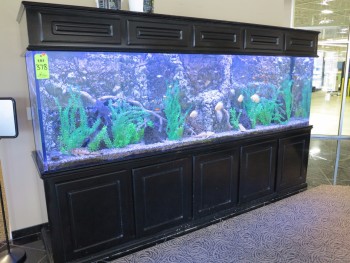LARGE FISH AQUARIUM, 10'X34