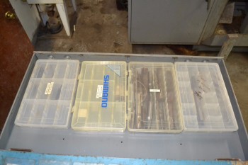 CONTENTS OF SHELVES - CONTENTS ONLY - ASSORTED TOOLING W/O DRAWER