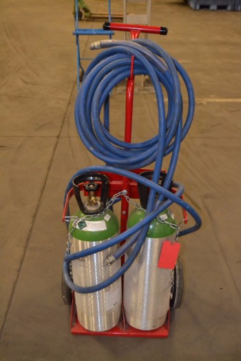 DAYTON 2W541A GAS CYLINDER CART WITH 2 EMPTY C02 TANKS