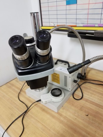 Accu Scope Microscope