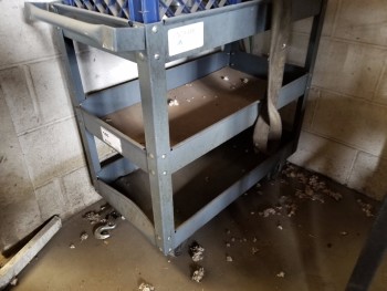 Rolling Cart, No Contents
