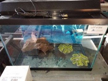 Working Fish Tank