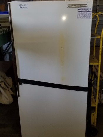 Stand up Freezer (working)