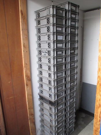 Grey Plastic Containers