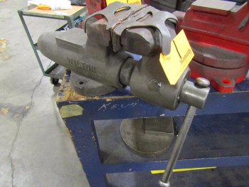 Wilton 5\