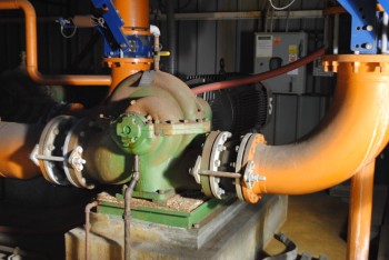 Crane De Ming Pump