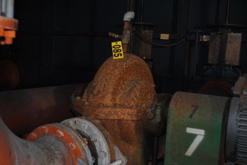 Crane Deming Pump