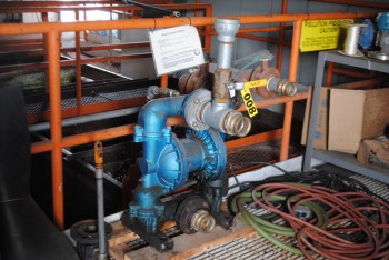 Sandpiper 2 Lung Air Pump