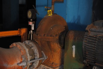 Crane Deming Pump